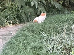 -新虹桥中心花园