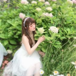 -八角古风摄影