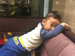 -廊坊固安福朋喜来登酒店