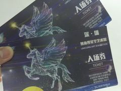 -深圳独角兽星空艺术馆