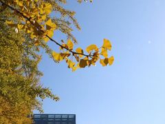 -辽宁大学(崇山校区)