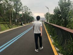 -飞凤山奥体公园