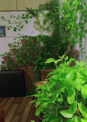-新龙门刺青·纹身