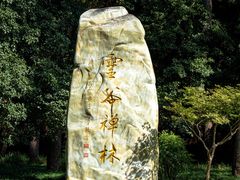 -灵谷景区