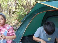 -铁山坪森林公园