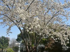 -B&C黄油与面包·THE GARDEN BAKERY概念店(世纪汇店)