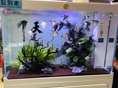 -龟与熊猫宠物公园(南坪店)