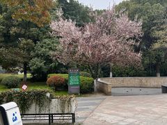 -玉山公园