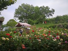 -龙吟九品(青龙山庄店)