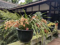 -峨眉山风景名胜区