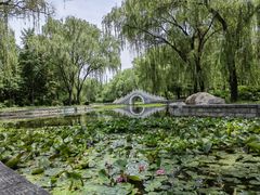 -洛阳市隋唐城遗址植物园