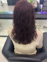 -东方麒麟·潘多拉SALON