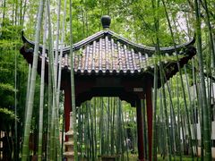 -绳金塔