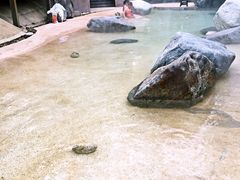 -鱼凫国都大酒店温泉