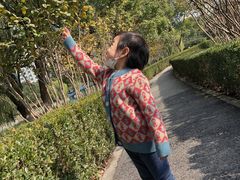 -中央公园(苏州工业园区)