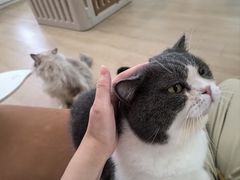 -1013 PET SHOP 宠物商店(近铁城市广场店)