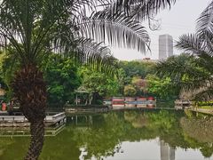 -晓港公园