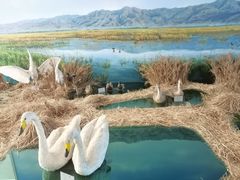 -延庆地质公园博物馆