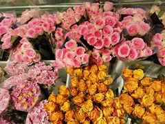 -盒马X会员店(王府井奥莱UP TOWN店)