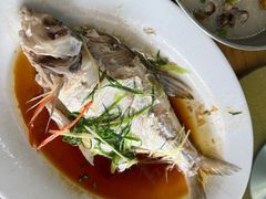 -百里鲜(羚羊峡古栈道森林公园店)
