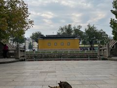 -西园戒幢律寺