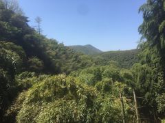 -藏龙百瀑风景区