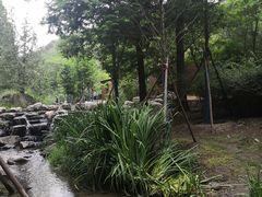 -白水寺森林公园