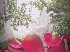 -上海鲜花港