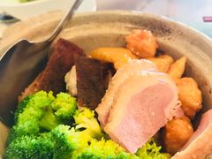 -金龙餐厅(圆山大饭店)