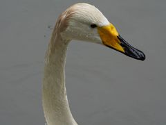 -北京动物园-畅观楼