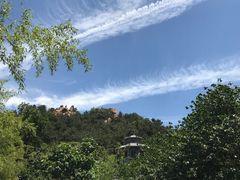 -老张烤羊(王哥庄店)