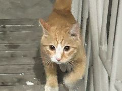 -家舍沐浴生活馆