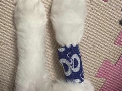 -联合动物医院(光谷诊疗中心)
