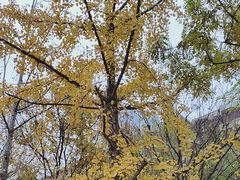 -西海子公园