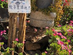 -明月山庄私房菜(环海东路店)