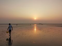 -南汇嘴观海公园