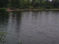-新江湾城公园