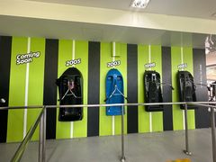 -圣淘沙天际线斜坡滑车
