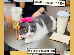 -喜茶(深圳喜荟城店)