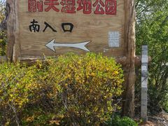 -前关湿地公园