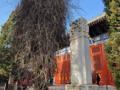 -北京艺术博物馆(万寿寺)
