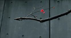 -JY·VALMONT法儿曼官方面护·海菲秀黑钻体验中心