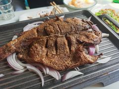 天山烤鲈鱼-帕米尔食府(白云观店)