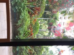 -味餐厅·海鲜·火锅·自助餐