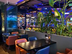 -bluefrog蓝蛙(国贸商城店)