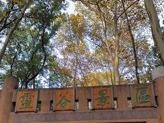 -灵谷景区