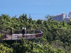 -海南铜鼓岭景区