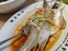 -百年银屏蚝烙·潮汕菜·非遗(乐山店)