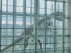 -吉林省自然博物馆