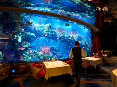 -迪拜帆船酒店海底餐厅